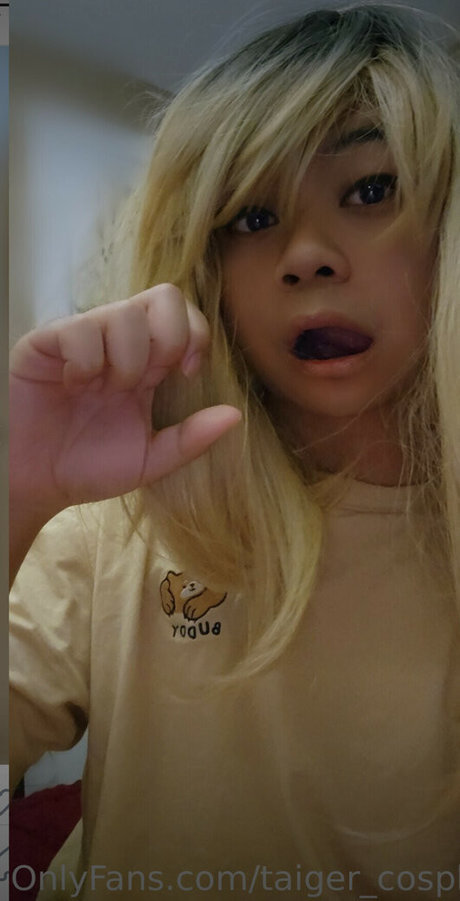 TaigerArts star pictures