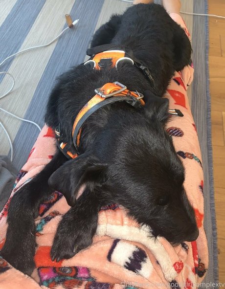 goodgirlcomplextv star porn galleries