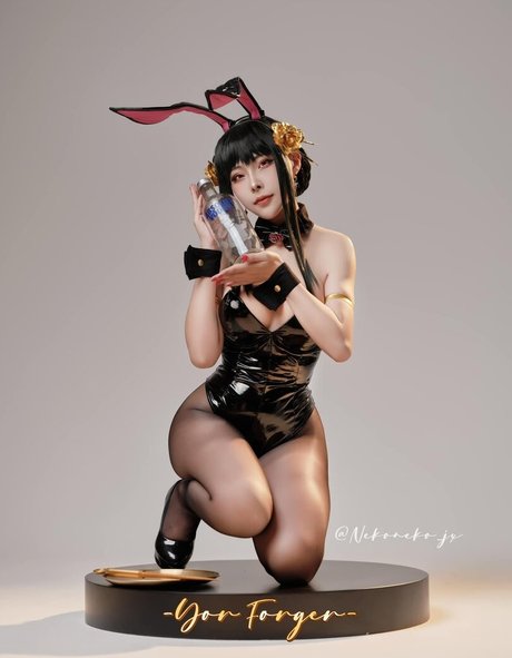 Nekoneko JX naked model images