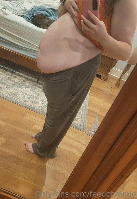 feedchromie model high quality img