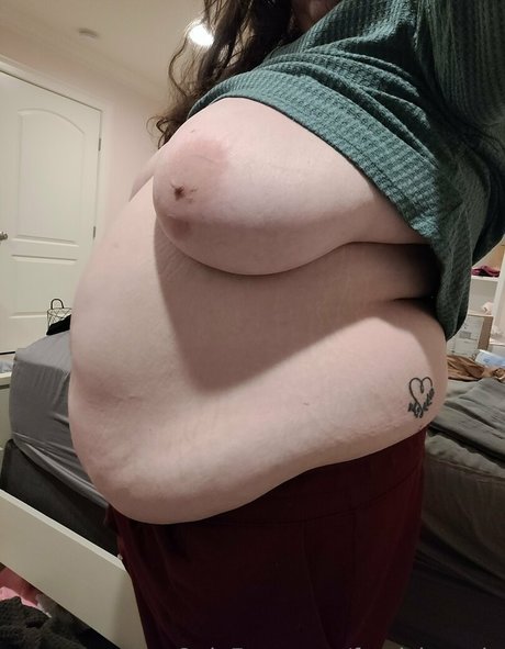 feedchromie Quick model image