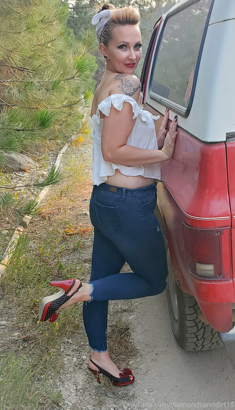 diamondsanddirt19 model top img