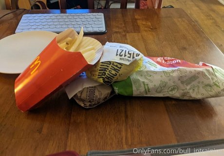 bull intraining star high quality photos