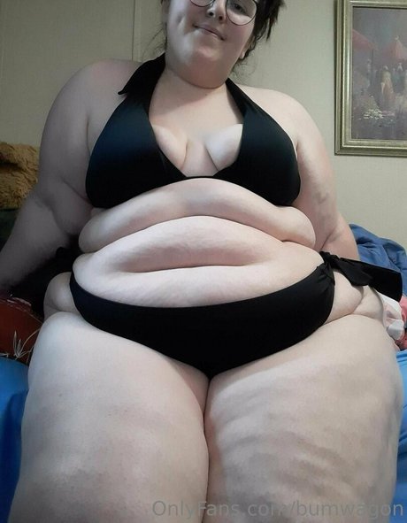 bumwagon star gallery