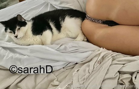 fitblondenextdoor Profile pic