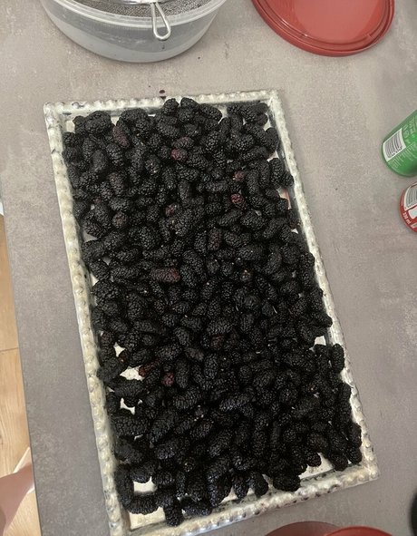 sweet pussy onlyfans hot nude image