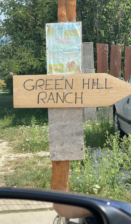 real tiffany top star photo