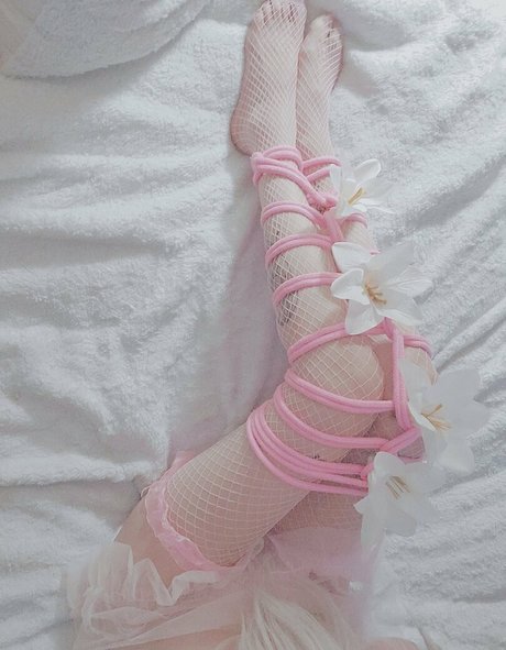 plus size onlyfans best archive