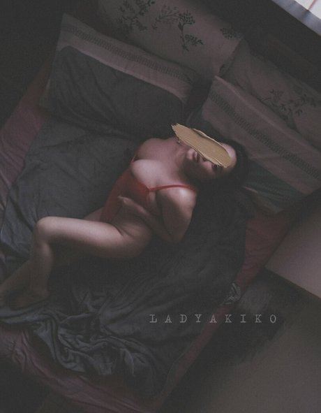 Lady Akiko adult star image