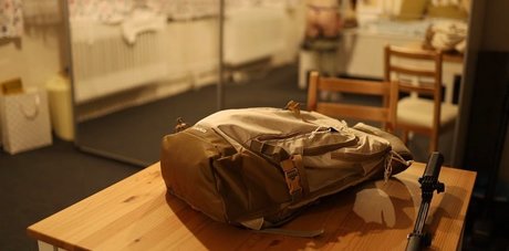 LittleBee star art image