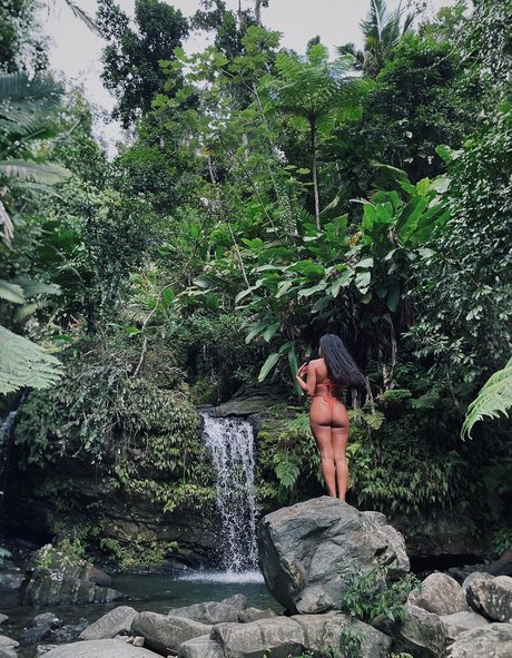 lilpineapplegirl high quality pornstar img