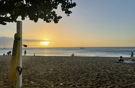 bunny princess onlyfans exclusive img