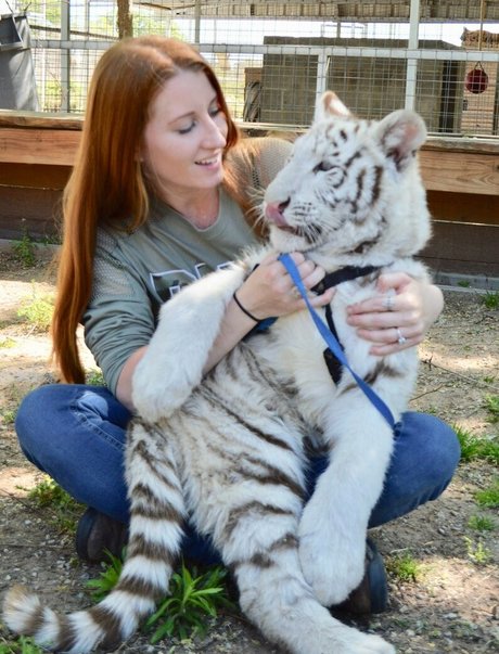 tigerqueen_ xxx model gallery