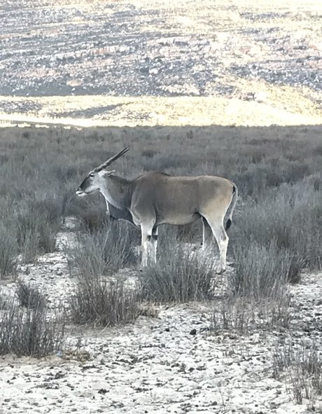 jimnewmannyc actress pic