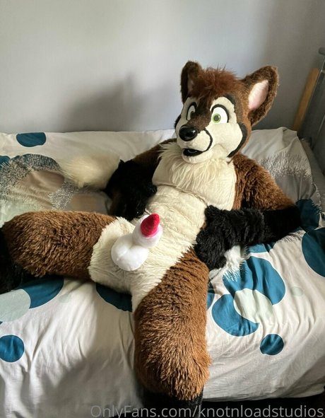 knotnloadstudios free star photo