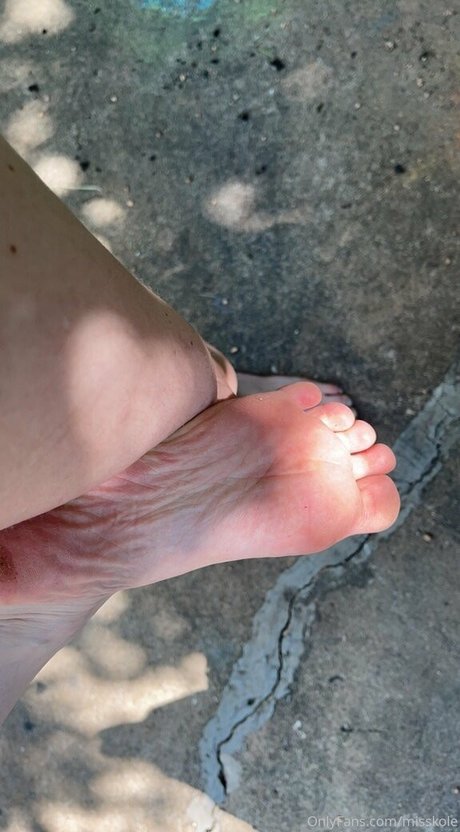 holykoley star top image