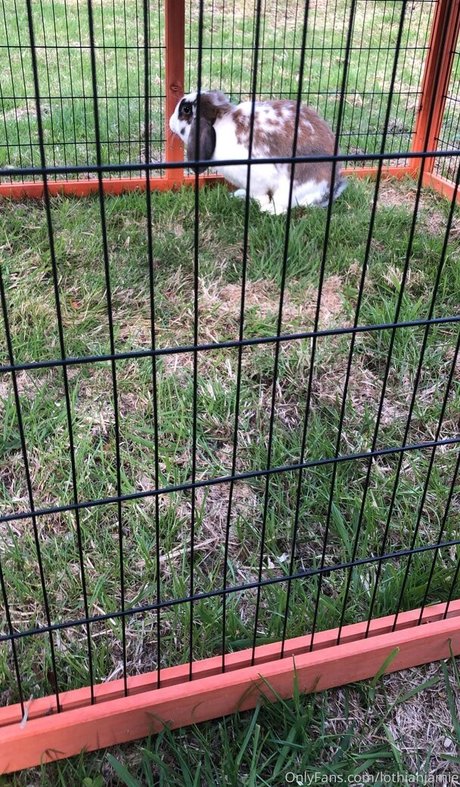 hardcore onlyfans porno img