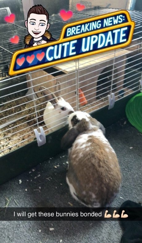 lothianjamie pretty star photos