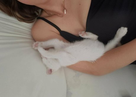 peqqq star perfect galleries