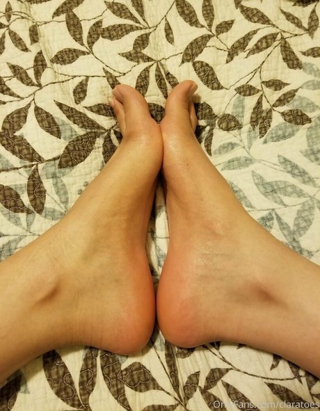 claratoes star beautiful gallery