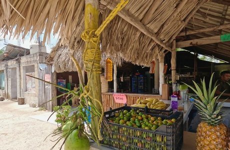 Helia Soltani pornstar pic