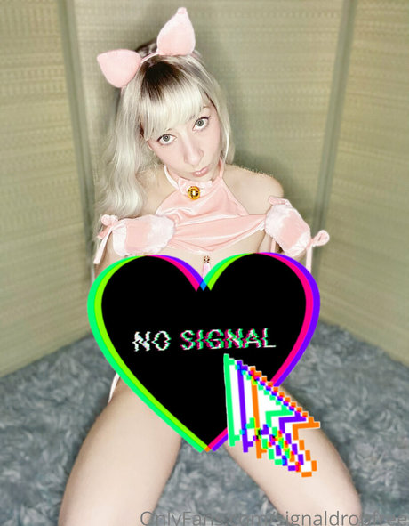 signaldropfree model perfect images