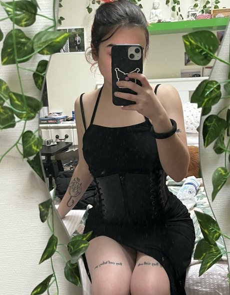 xxsgoddess top star galleries