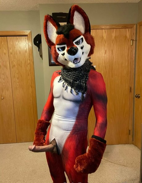 wolf ezo model adult images