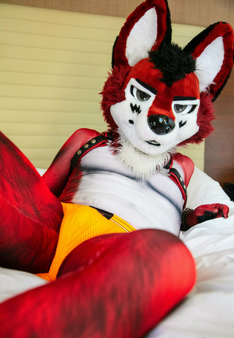 wolf ezo model erotic photos