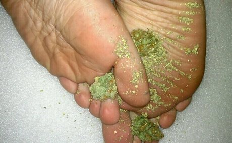 lelannifeets pornographic model galleries