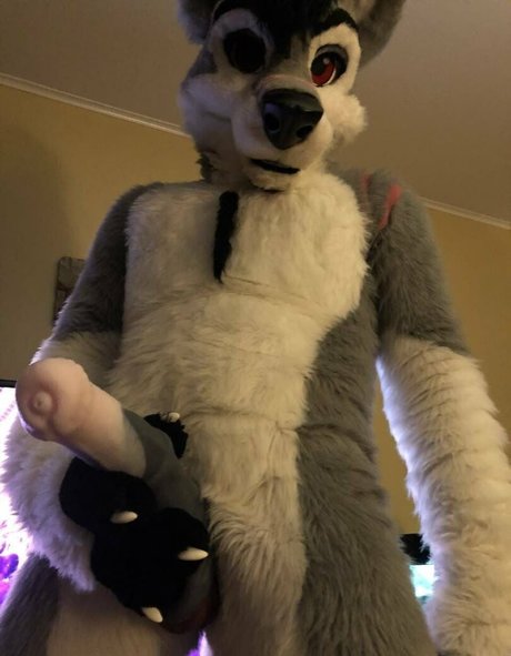 stallionwolf star porn photos