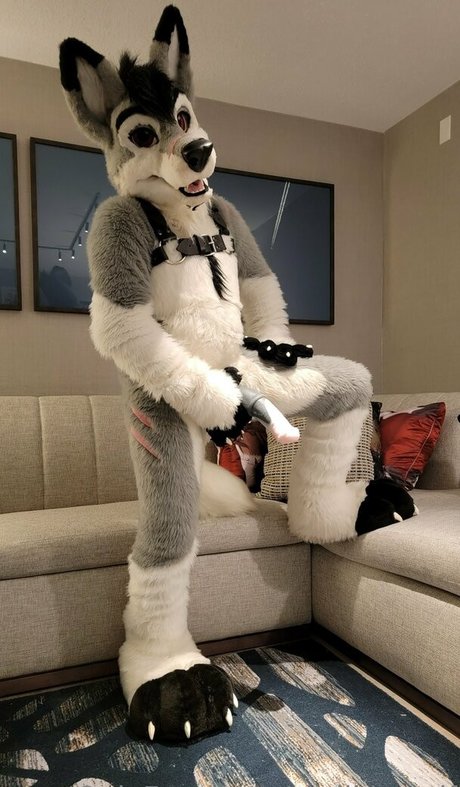 stallionwolf pornstar best photos