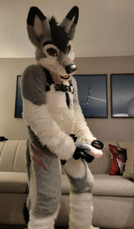 stallionwolf pornstar erotic picture