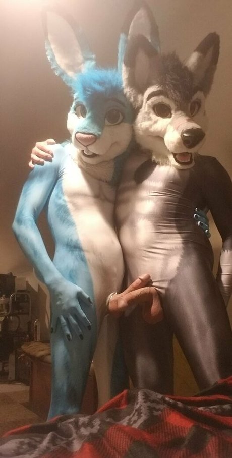 stallionwolf pornstar adult archive