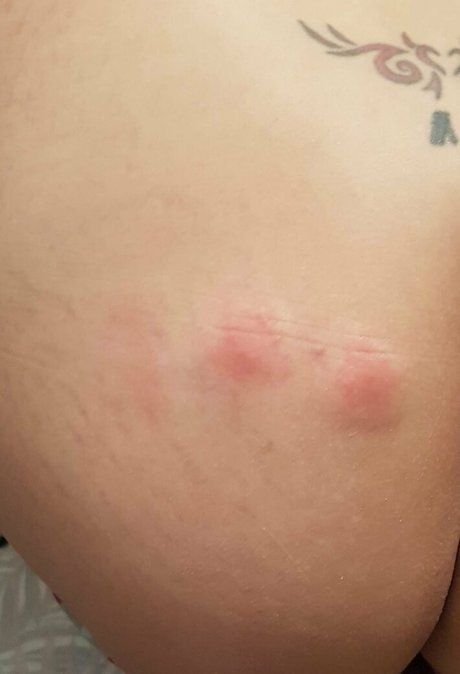 naughtyrebecca1 star nice pictures