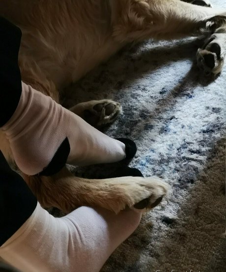 giantessmason free pornstar photos