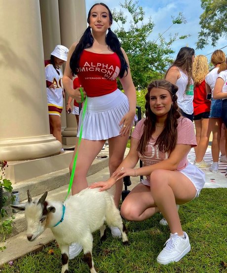 Olivia O star sexy galleries