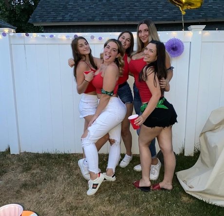 Livipip pornstar adult archive