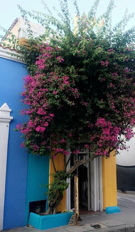 galacticgypsy28 porn actress photo