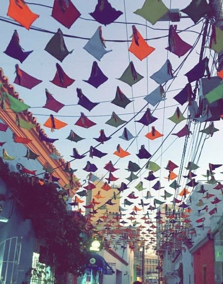 curly ebony onlyfans sexy naked pic