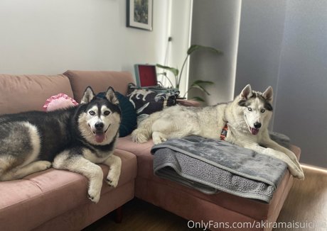 bbw fat ass onlyfans art naked galleries