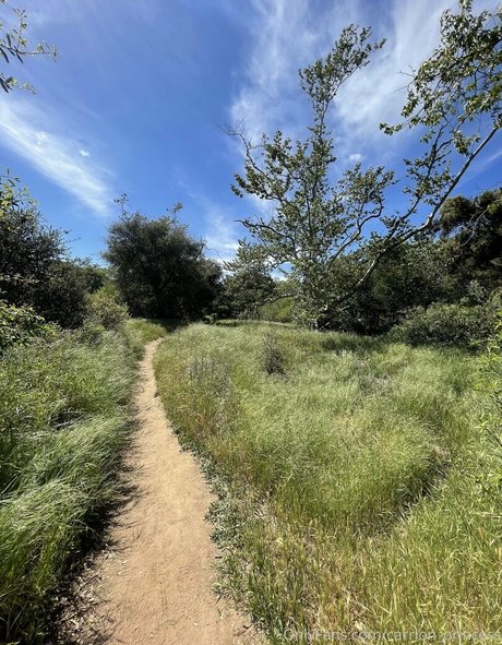 carrion princess exclusive model pics