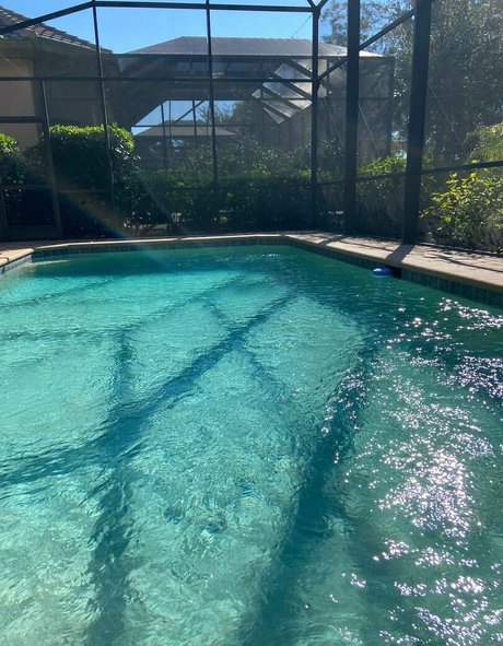 beachbear428 perfect pornstar image