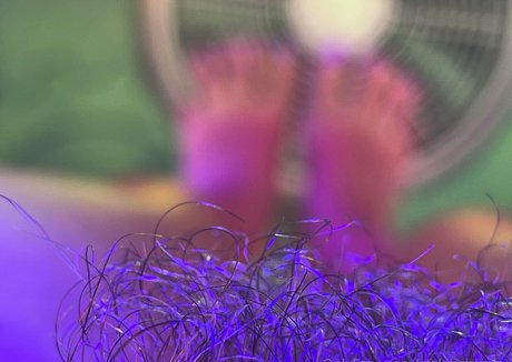 gtslongpiggies hd star photos