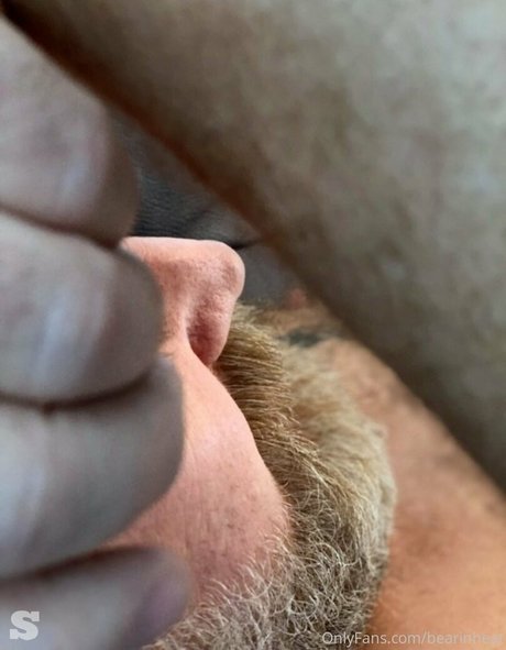 bearinheat sex pornstar galleries