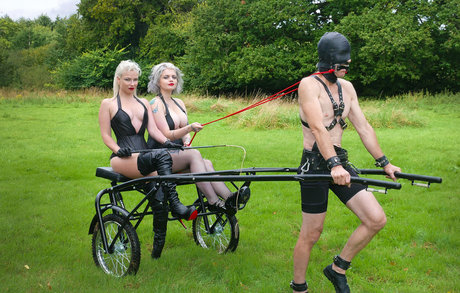 horny onlyfans free pic