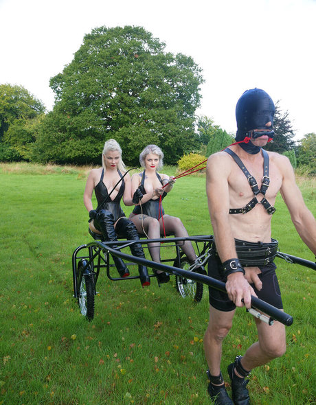 black shemale onlyfans hd photo