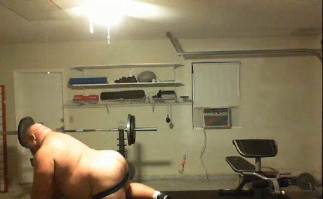 gainerbull free star img