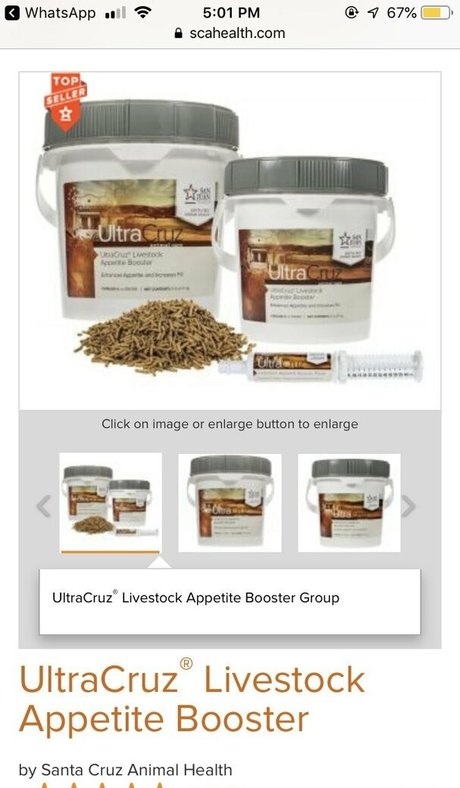 cuckold feet onlyfans pornos archive