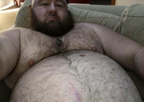 gainerbull art star archive